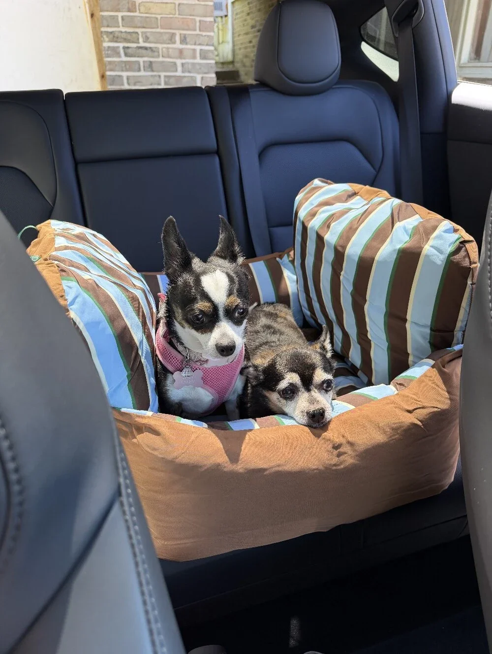 Striped Car Seat Pet Bed Zeze